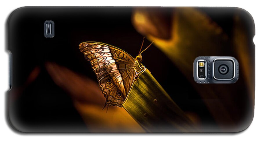 `nature Galaxy S5 Case featuring the photograph Its the simple Things By Denise Dube by Denise Dube