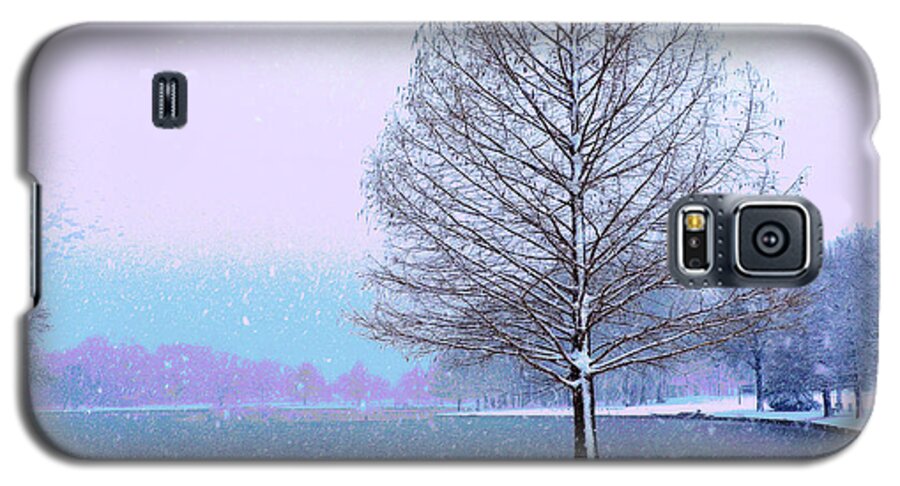 Winter Galaxy S5 Case featuring the photograph January Freeze by Joe Ownbey