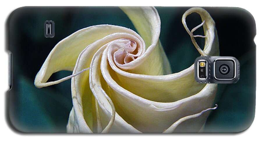 Jimsonweed Galaxy S5 Case featuring the photograph Jimsonweed Flower Spiral by Steven Schwartzman