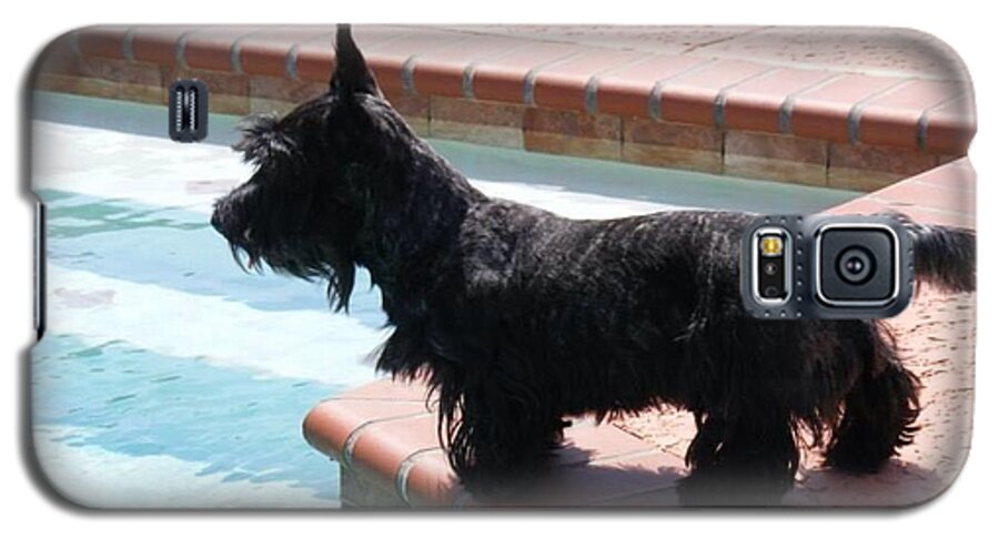 Scottie Galaxy S5 Case featuring the photograph Joey at the Pool by Diane Ferguson