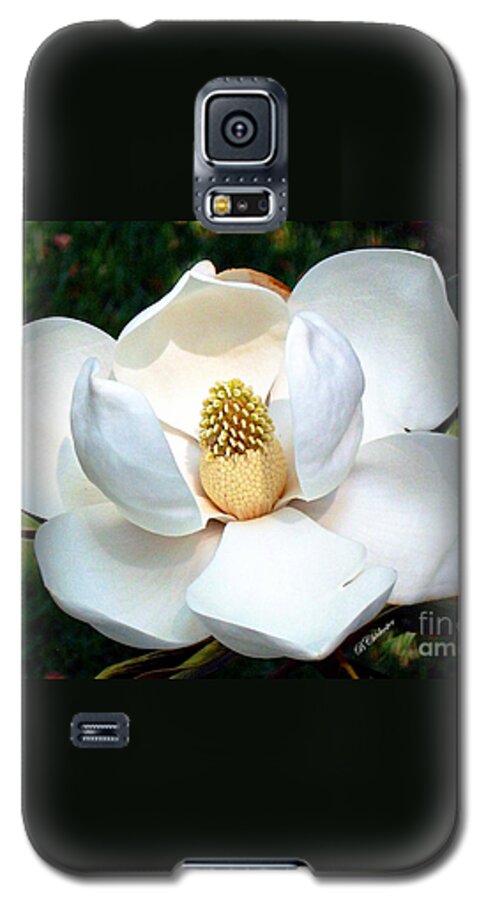 Flower Galaxy S5 Case featuring the photograph John's Magnolia by Barbara Chichester