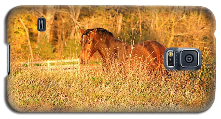 Horse Galaxy S5 Case featuring the photograph Jonathan by Carol Lynn Coronios
