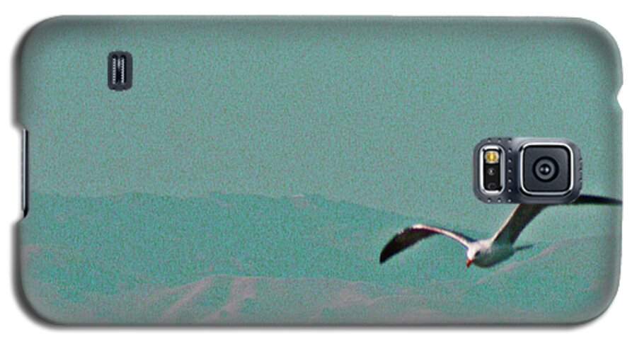 Jonathan Livingston Seagull Galaxy S5 Case featuring the photograph Jonathan by Joseph Coulombe