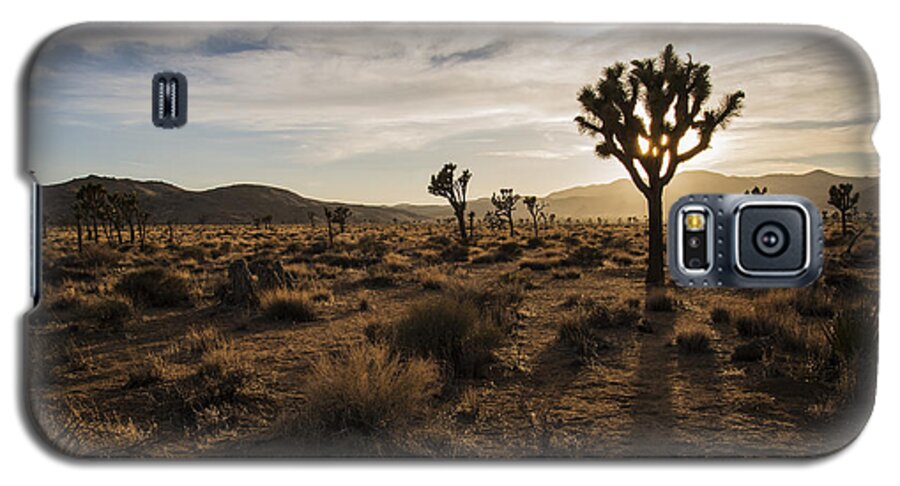Photography Galaxy S5 Case featuring the photograph Joshua Tree Sunset Silhouette by Lee Kirchhevel