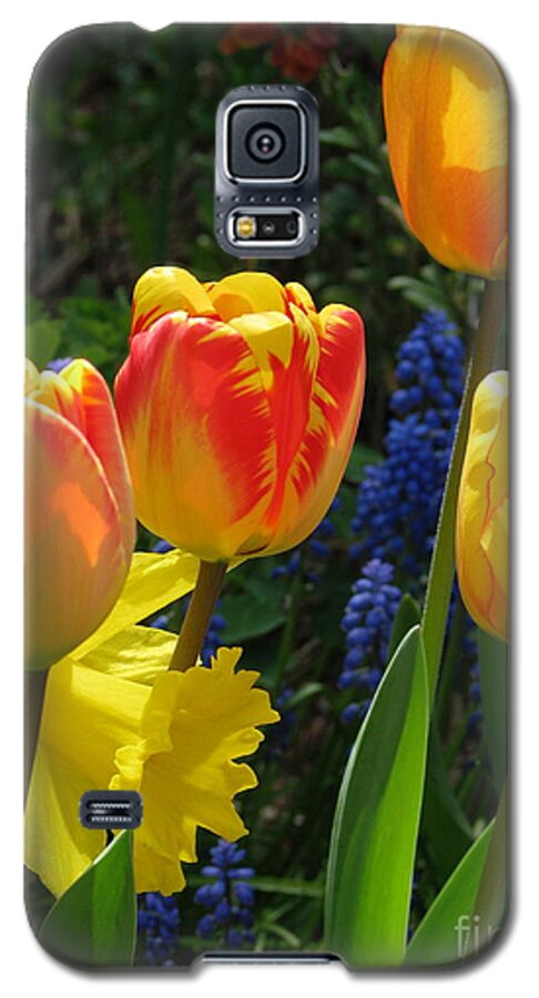 Tulips Galaxy S5 Case featuring the photograph Jubilance by Rory Siegel