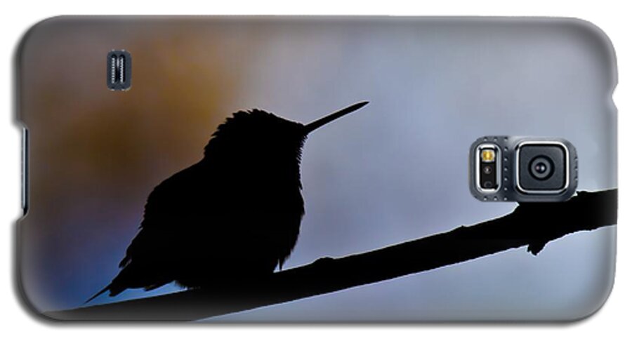 Ruby-throat Hummingbird Galaxy S5 Case featuring the photograph Just Chillin by Robert L Jackson