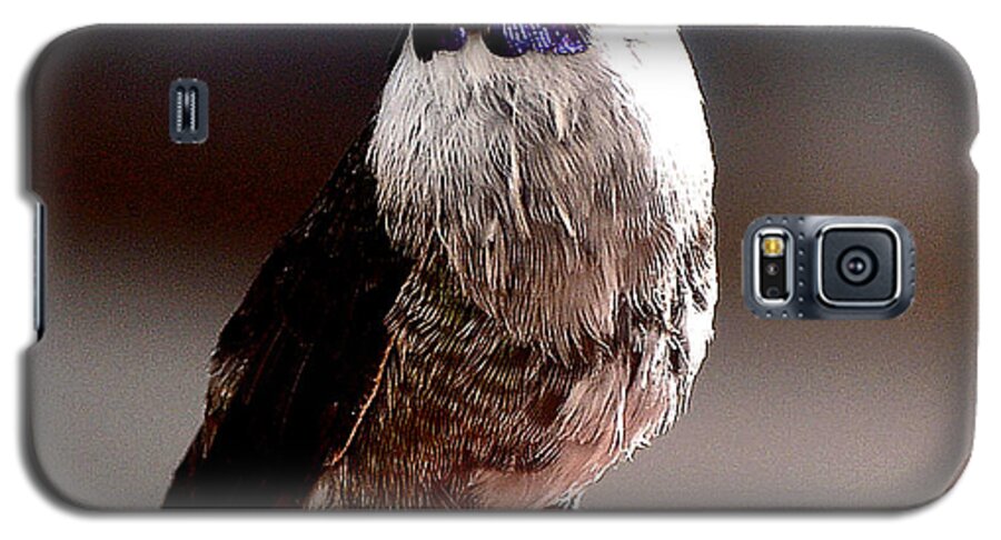 Hummingbirds Galaxy S5 Case featuring the photograph Juvenile Male Anna On Perch by Jay Milo