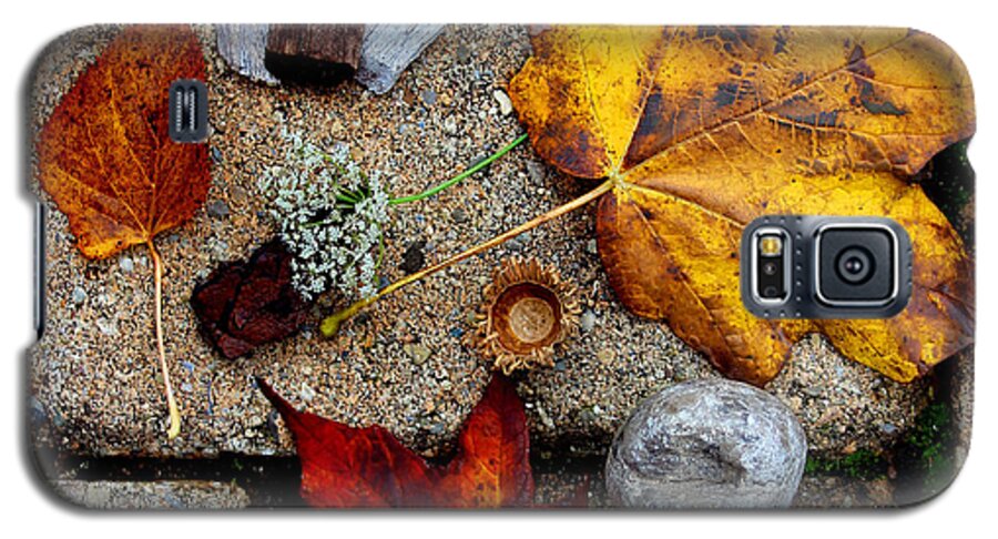 Autumn Galaxy S5 Case featuring the photograph Kayla's Treasures by Karen Adams