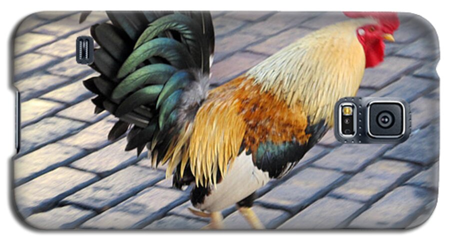 Key West Galaxy S5 Case featuring the photograph Key West Chicken by Lisa Boyd