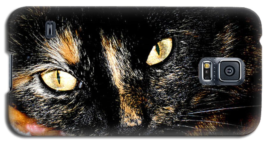 Cat Galaxy S5 Case featuring the photograph Kitty Face by Oksana Semenchenko