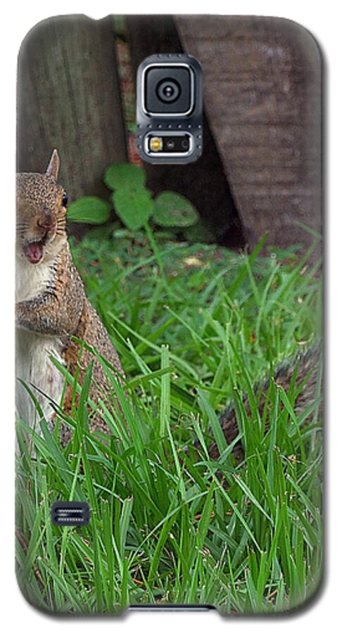 Animal Galaxy S5 Case featuring the photograph Lake Howard Squirrel 000 by Christopher Mercer