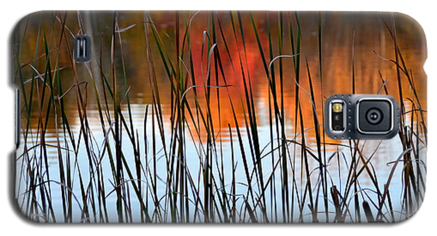 Lake Galaxy S5 Case featuring the photograph Lakeside Tales by Andrea Platt