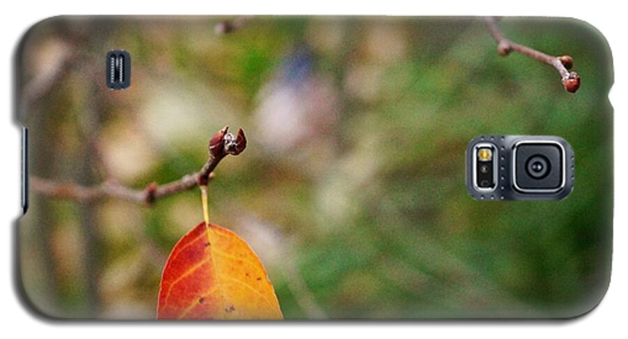 Matt Matekovic Galaxy S5 Case featuring the photograph Last Leaf November by Photographic Arts And Design Studio