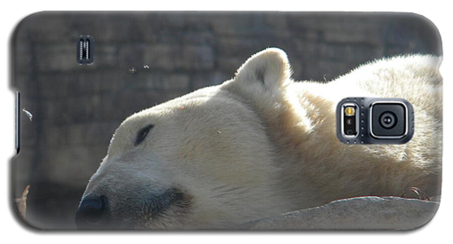 Polar Galaxy S5 Case featuring the photograph Lazy Polar Bear by Amanda Eberly