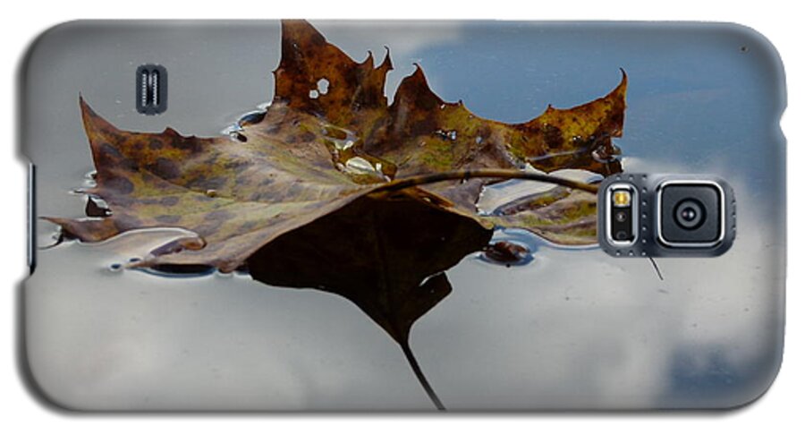 Jane Ford Galaxy S5 Case featuring the photograph Leaf in sky by Jane Ford