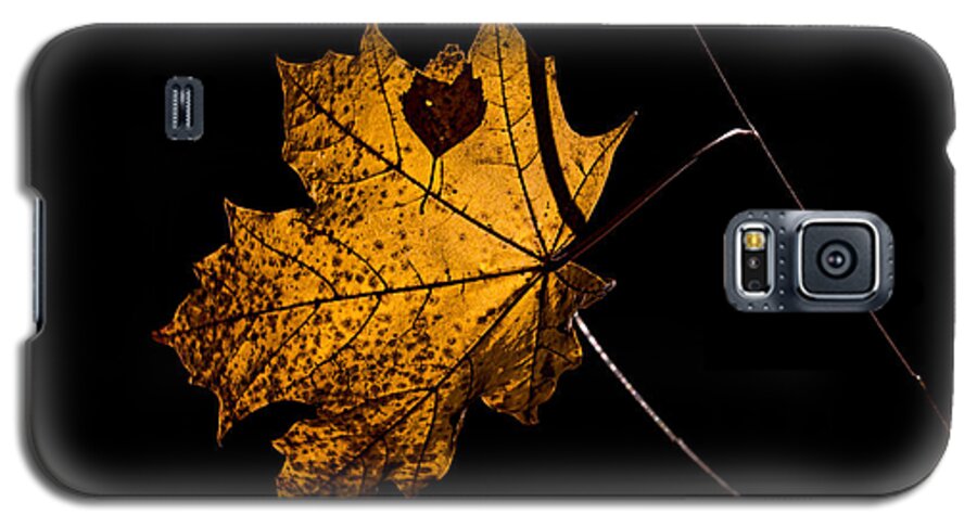 Leaf Photo Galaxy S5 Case featuring the photograph Leaf Leaf by Leif Sohlman