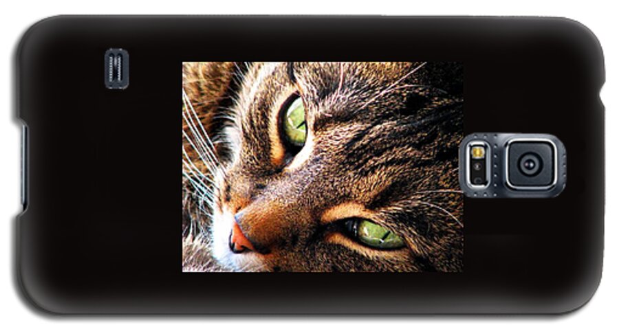 Cats Galaxy S5 Case featuring the photograph Learn To Linger by Angela Davies