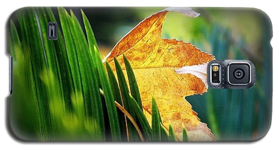 Leaves Of Grass Galaxy S5 Case featuring the photograph Leaves of Grass by Ellen Cotton