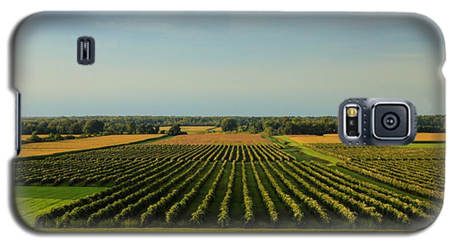 Lewiston Summer Vineyards Galaxy S5 Case featuring the photograph Lewiston Summer Vineyards by Rachel Cohen
