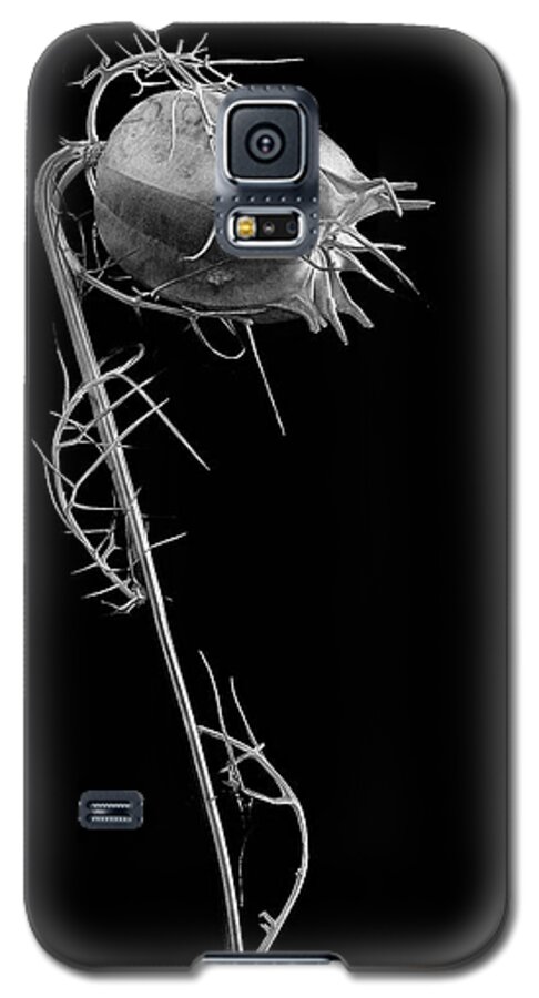 Love In A Mist Galaxy S5 Case featuring the photograph Like Love by Robert Woodward