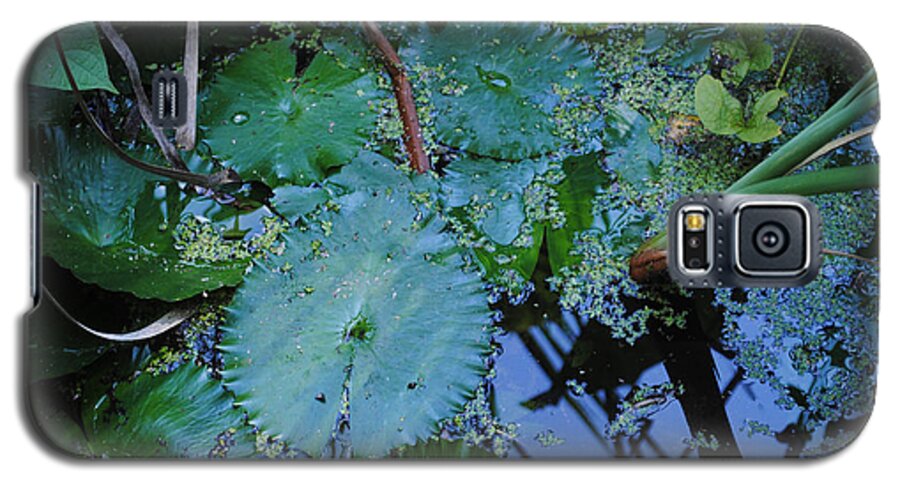 Fear Galaxy S5 Case featuring the photograph Lillies of the Garden by George D Gordon III