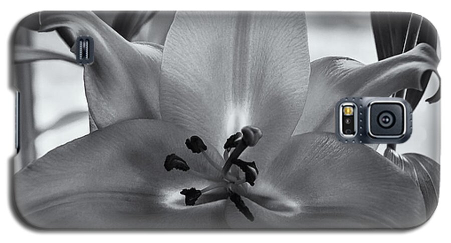 2013 Galaxy S5 Case featuring the photograph Lily 16 by Mark Myhaver