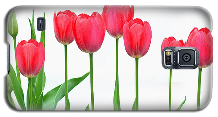 Flowers Galaxy S5 Case featuring the photograph Line of Tulips by Steve Augustin
