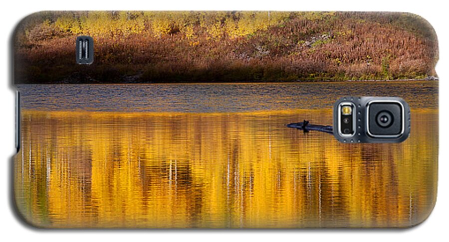 Autumn Colors Galaxy S5 Case featuring the photograph Liquid Gold by Jim Garrison