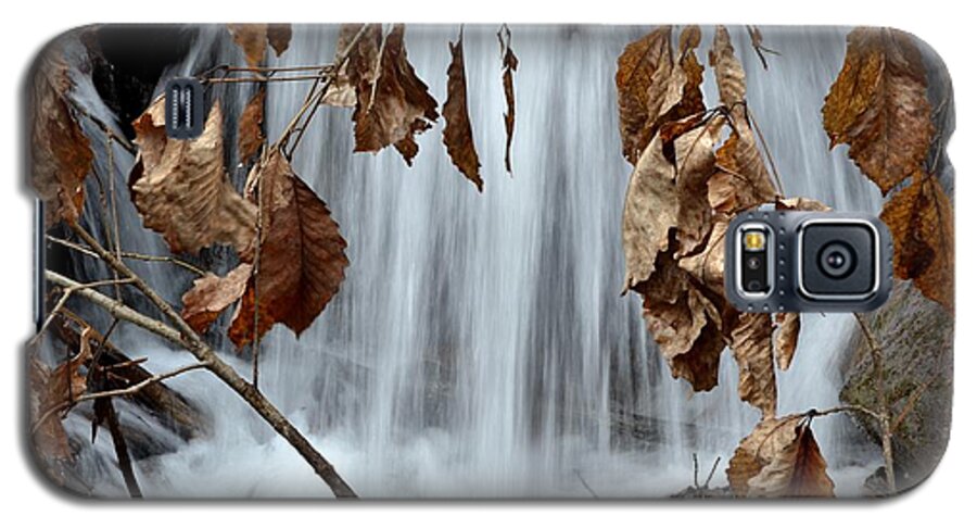 Natural Leaves Galaxy S5 Case featuring the photograph Liquid Window by Jeff Bjune 