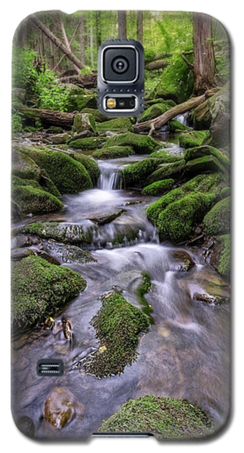 Bushkill Falls Galaxy S5 Case featuring the photograph Little Bush Kill by Rick Berk