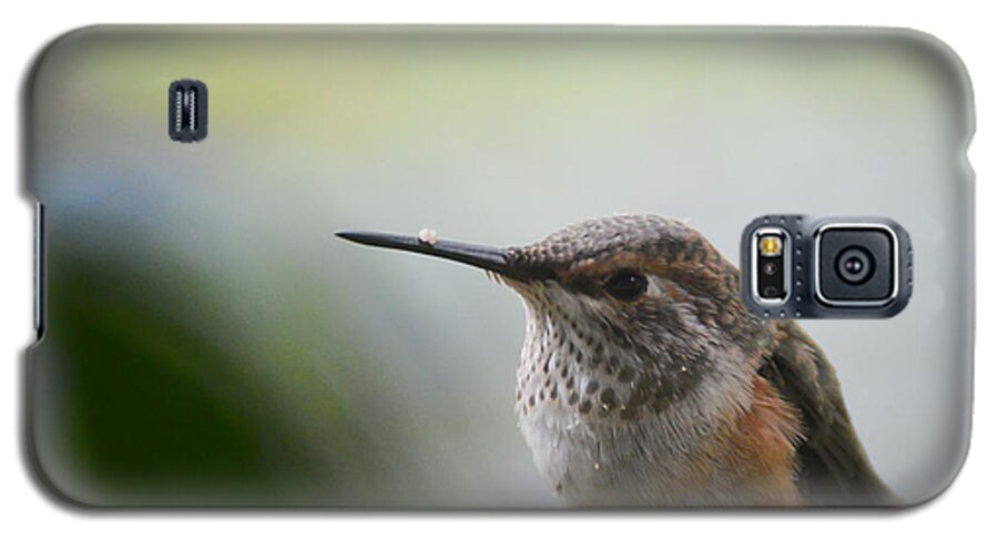 Birds Close-up Galaxy S5 Case featuring the photograph Little Hummer at My Window by Ronda Broatch