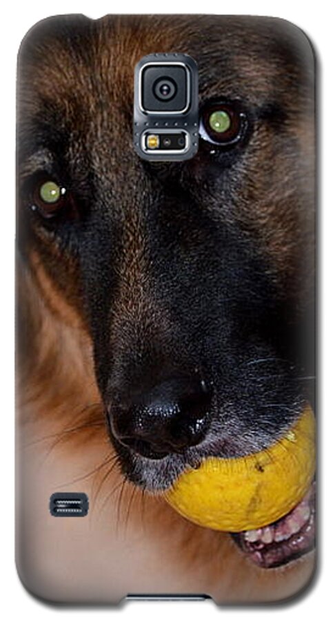 Dog Galaxy S5 Case featuring the photograph Loki by Cathy Shiflett