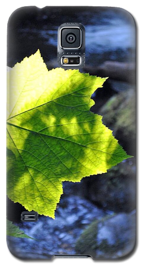 Leaf Galaxy S5 Case featuring the photograph Lonely Me by Amanda Eberly