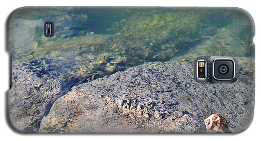 Shells Galaxy S5 Case featuring the photograph Lonely Shell by Patricia Greer