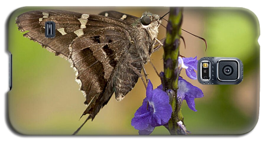 Long-tailed Skipper Galaxy S5 Case featuring the photograph Long-tailed Skipper Photo by Meg Rousher