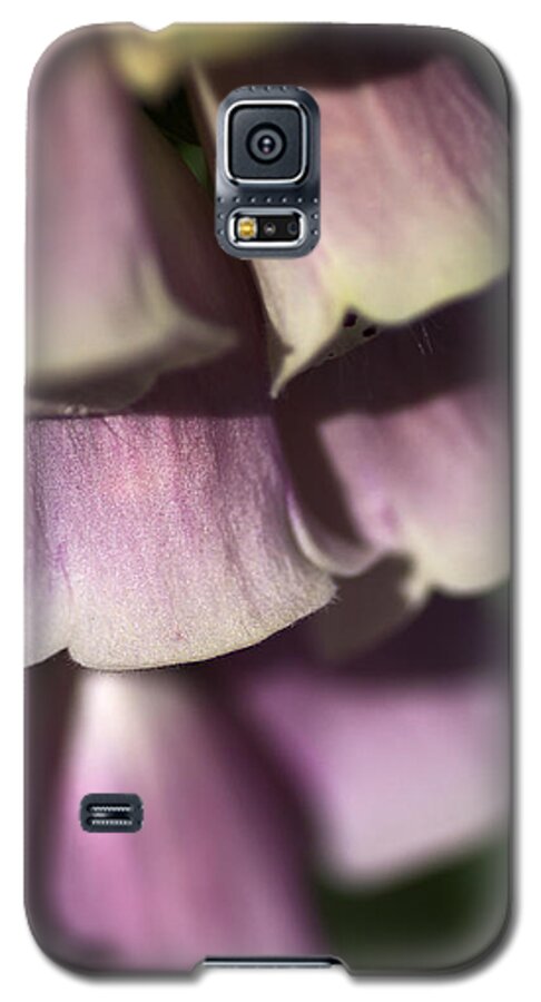 Lamiales Galaxy S5 Case featuring the photograph Lost in a Foxglove by Joy Watson