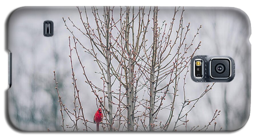 2014 Galaxy S5 Case featuring the photograph Love Birds by Amber Flowers