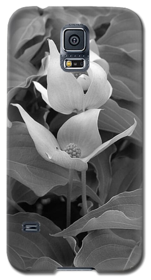 Love Galaxy S5 Case featuring the photograph Love by LeLa Becker