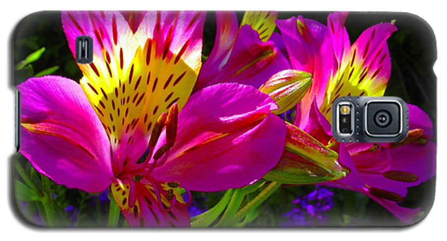 Flowers Galaxy S5 Case featuring the photograph Love Potion Number 9 by Derek Dean