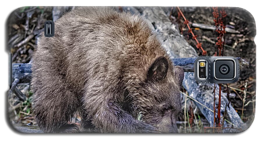 Wildlife Galaxy S5 Case featuring the photograph Lunch Break by Jim Thompson