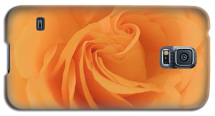Photo Galaxy S5 Case featuring the photograph Macro Yellow Rose by Marsha Heiken