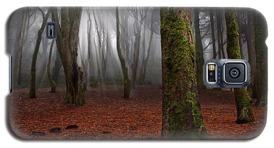 Light Galaxy S5 Case featuring the photograph Magic light by Jorge Maia