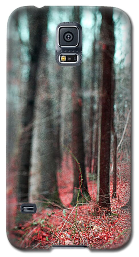 Tranquil Scene Galaxy S5 Case featuring the photograph Magical Forest by Kim Fearheiley