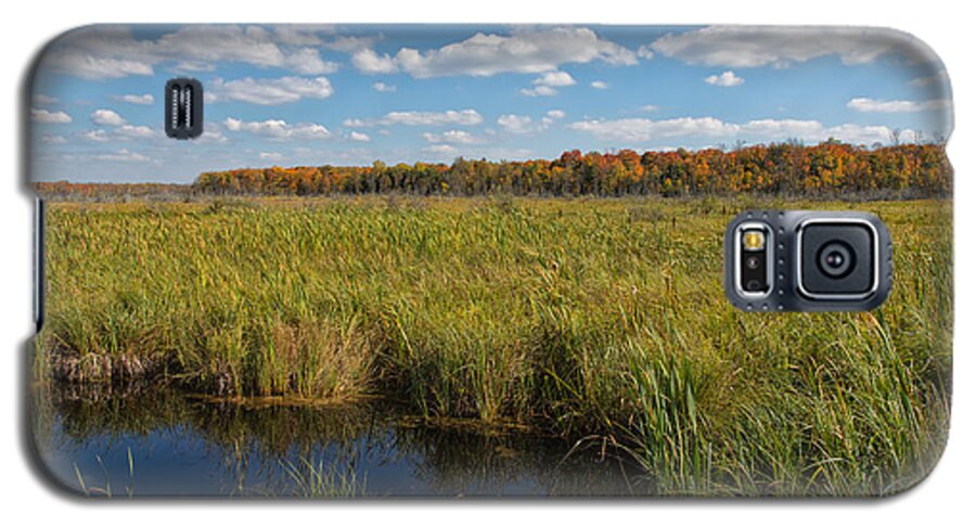 Landscape Galaxy S5 Case featuring the photograph Magnificent Minnesota Marshland by John M Bailey