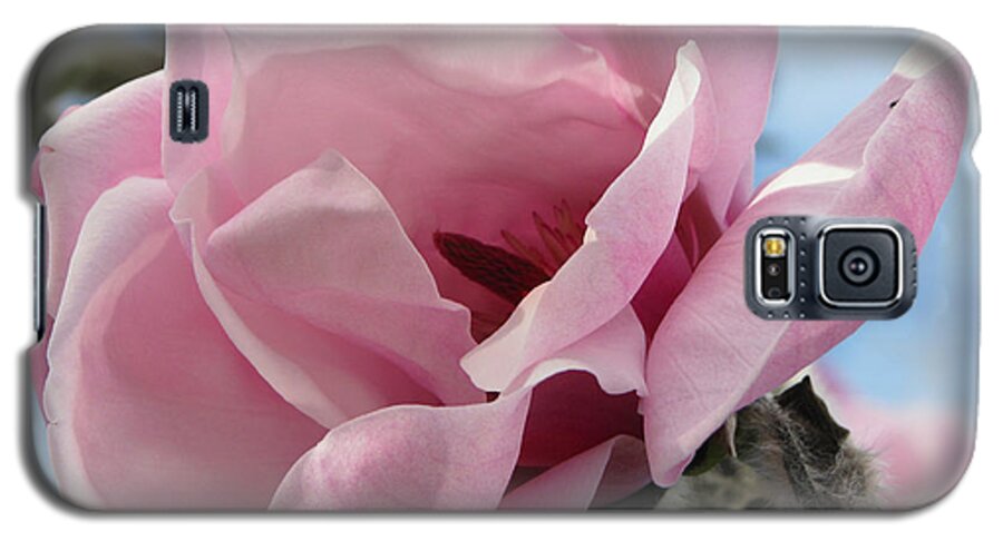 Flower Galaxy S5 Case featuring the photograph Magnolia in Spring by Jola Martysz