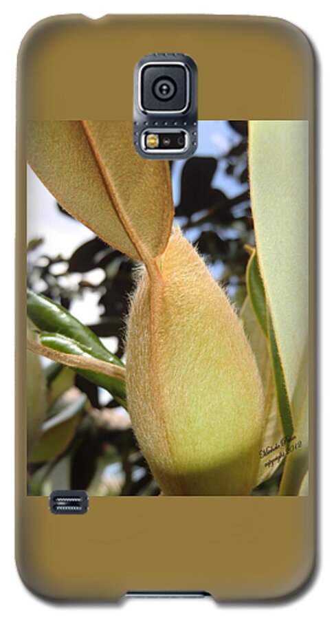 Flower Photograph Galaxy S5 Case featuring the photograph Magnolia Serenity - signed by Michele Penn