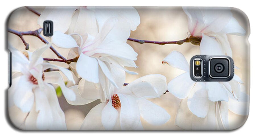 April Galaxy S5 Case featuring the digital art Magnolia Spring 1 by Susan Cole Kelly Impressions