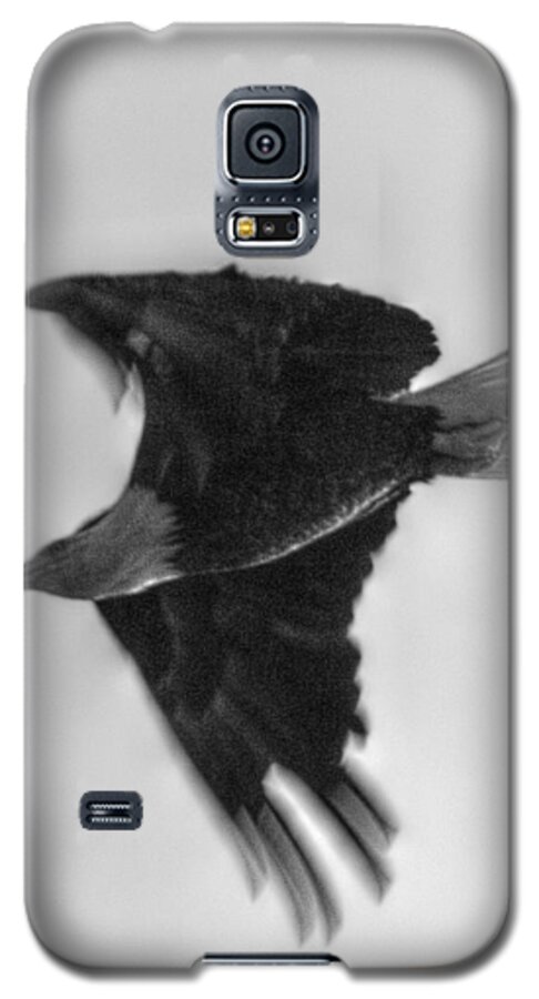 American Eagle Galaxy S5 Case featuring the digital art Majesty by Linda Unger