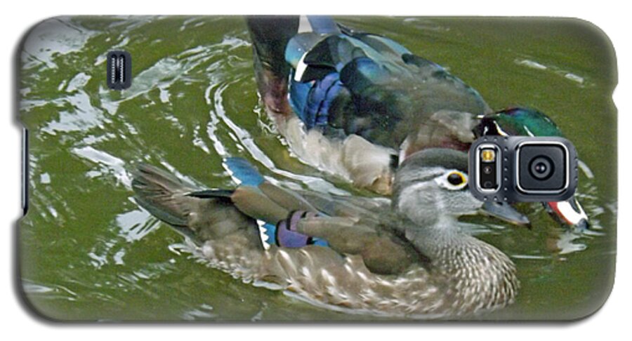 Duck Galaxy S5 Case featuring the photograph Male and female Wood Ducks by Brenda Brown