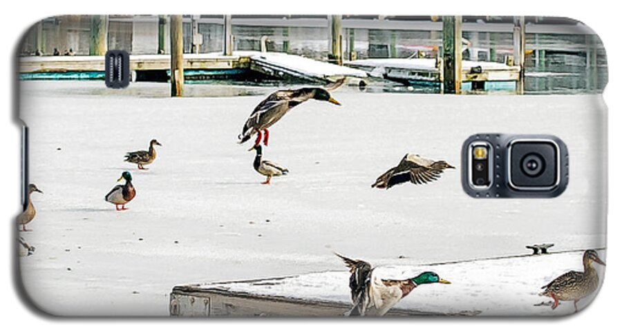 Mallards Galaxy S5 Case featuring the photograph Mallards In Motion by Constantine Gregory
